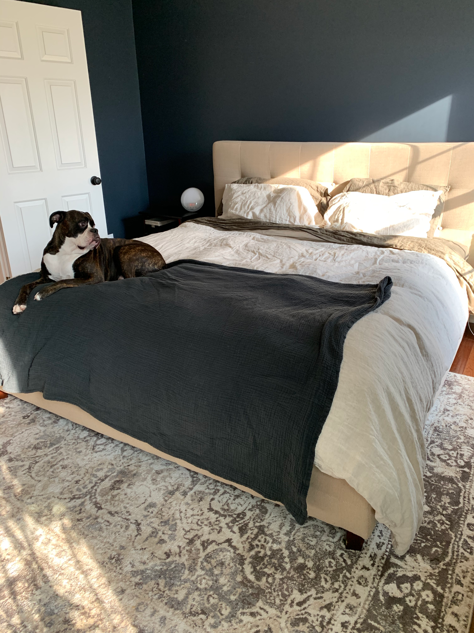 bedroom refresh sherwin wiliams cyberspace