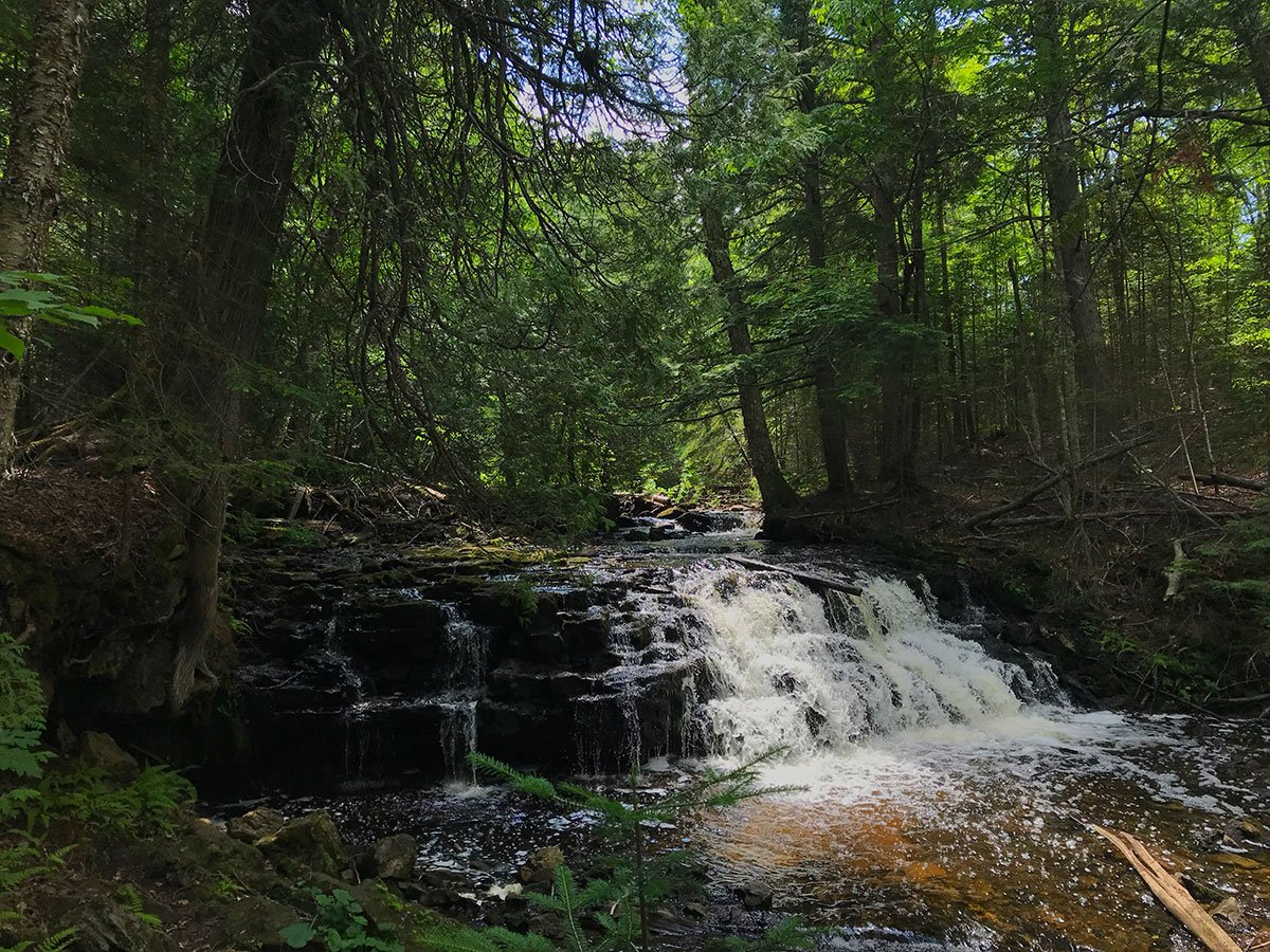 mosquito falls