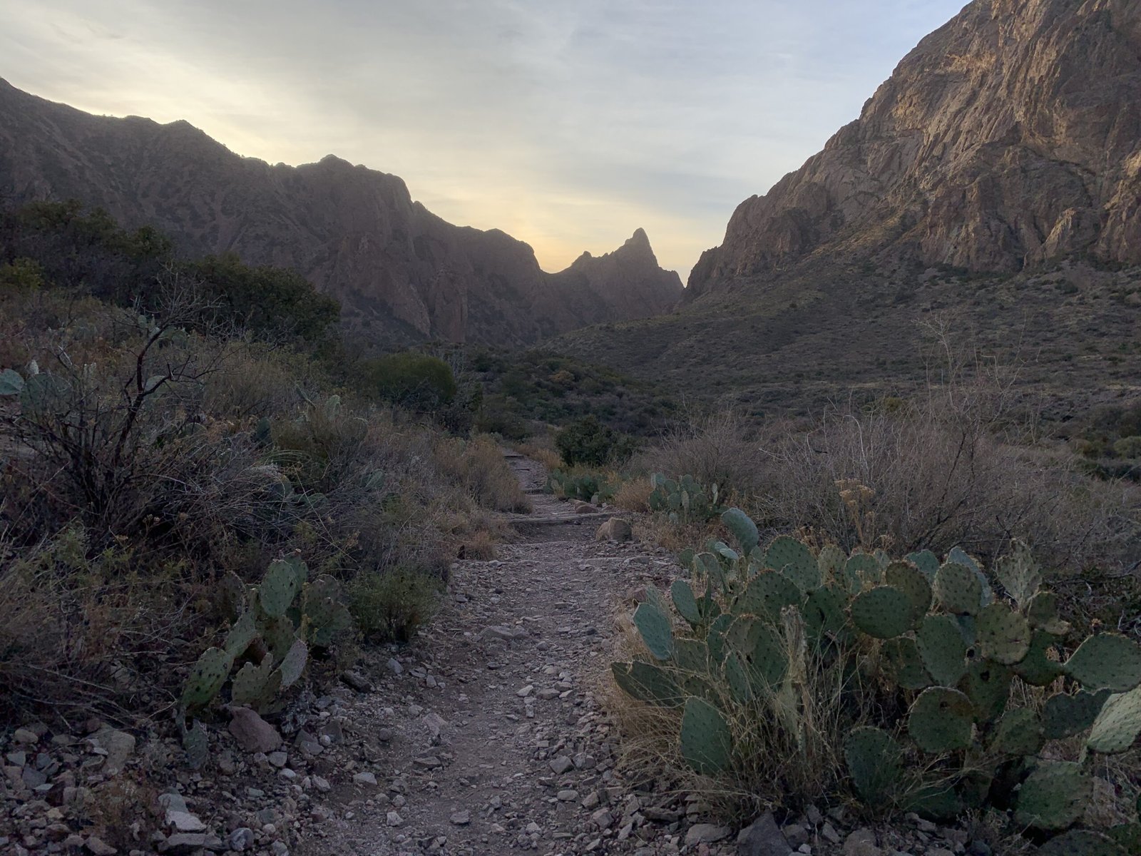 window trail big bend national park