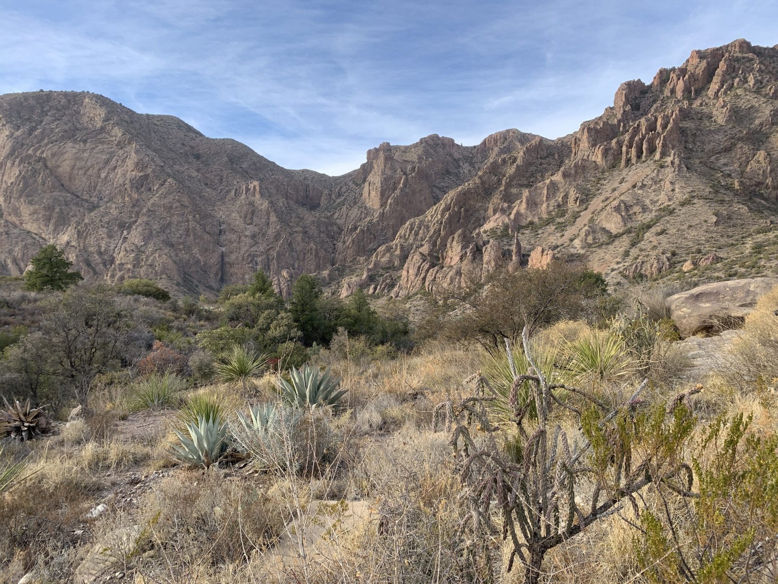 chisos basin big bend national park