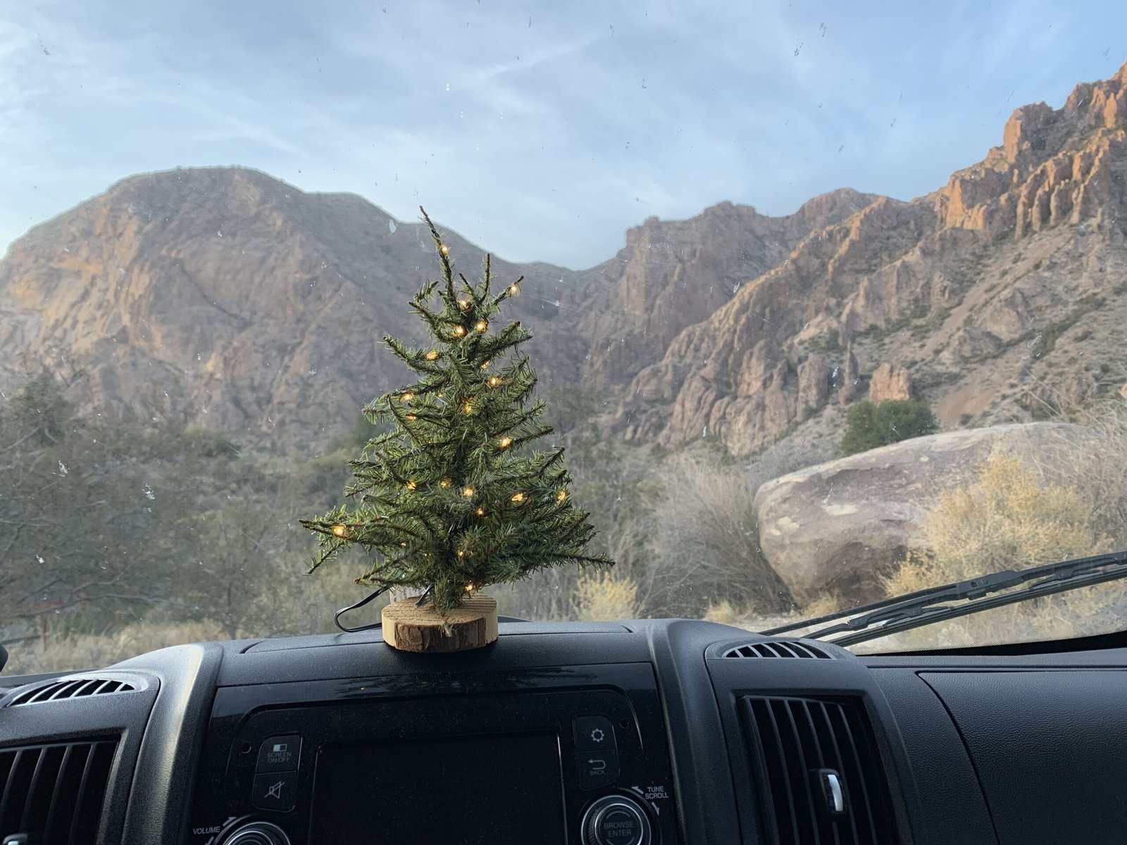 christmas tree in campervan