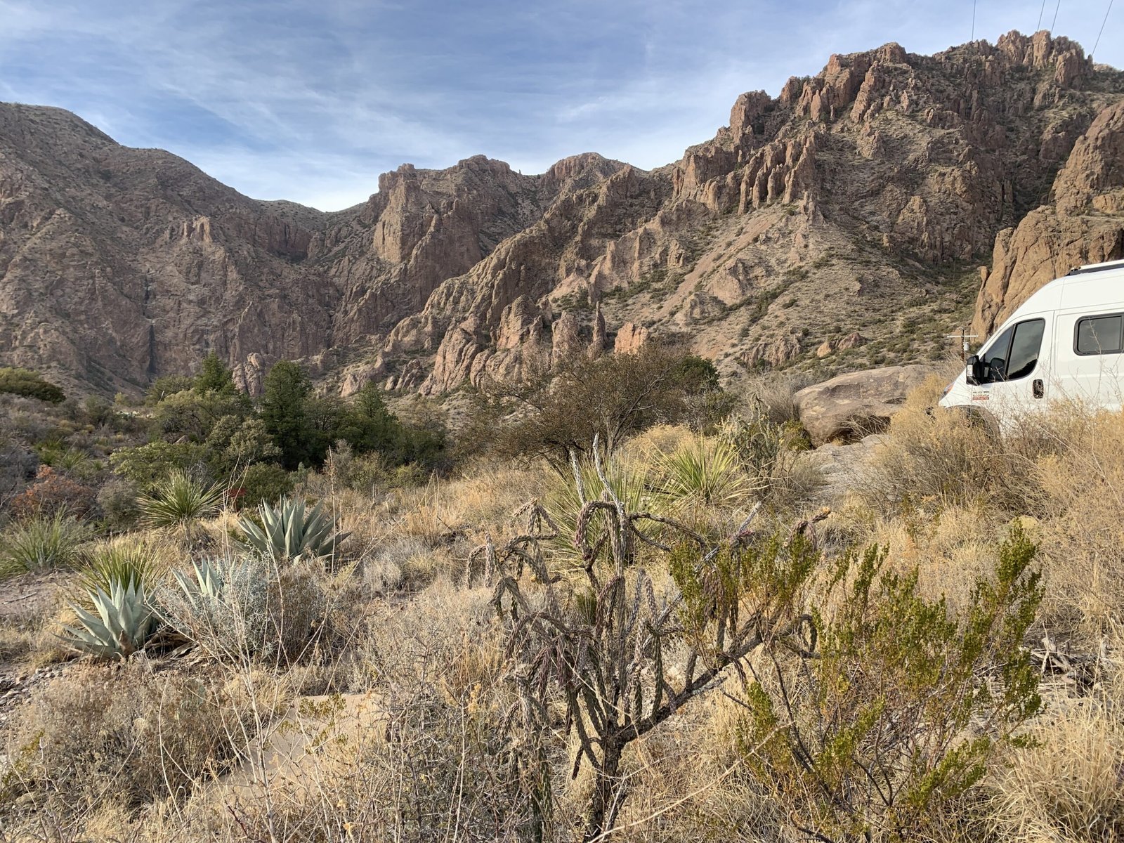 van camping big bend national park