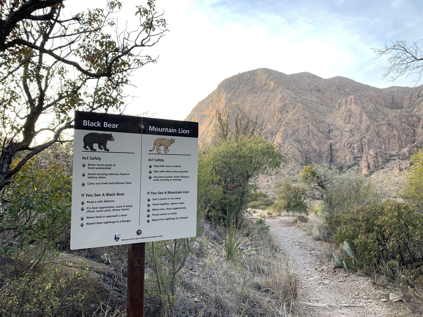 window trail sign big bend national park